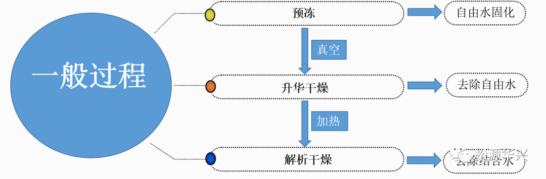中试冻干机
